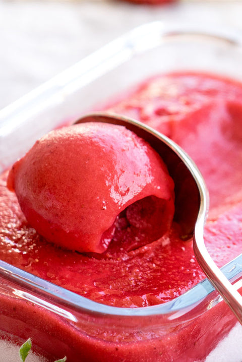 Sorbet Florida 500ml